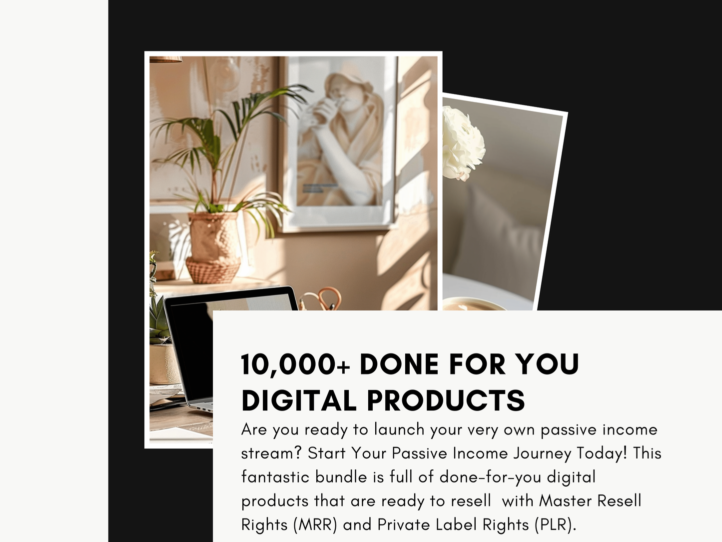10,000+ Digital Products Mega Bundle-MRR/PLR Rights